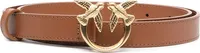 Belts & Accessories