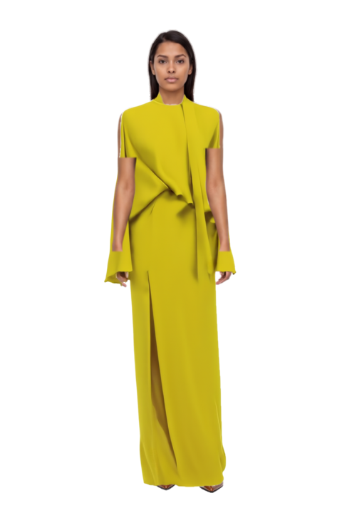 Outfit brooks tie-neck maxi dress and 80mm vrushali pumps