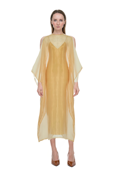 Outfit sphinx dress and 80mm vrushali pumps