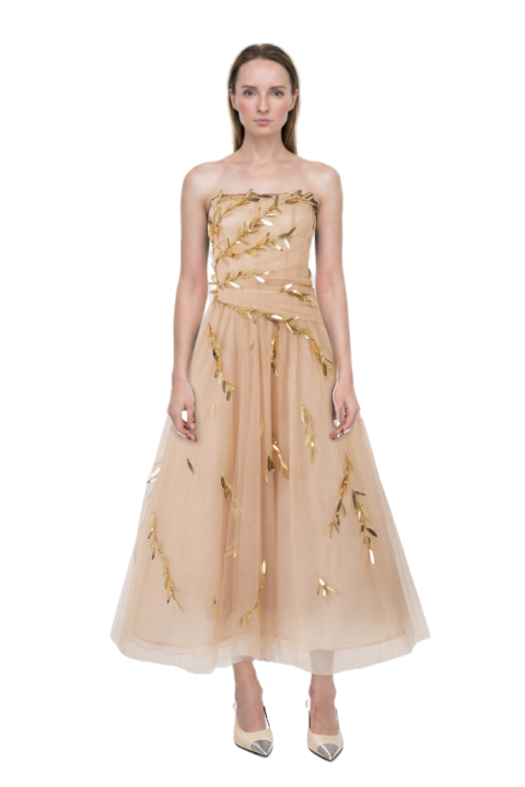 Outfit cassandre-plaque pumps and embroidered tulle strapless midi dress