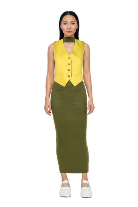 Outfit mahi dress and pinko waistcoat