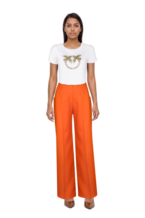 Outfit 80mm vrushali pumps and pinko t-shirt