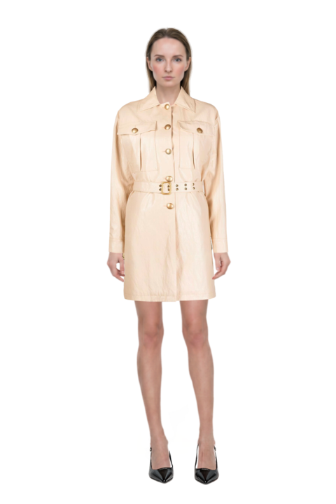 Outfit decollete slingback pointed-toe pumps and alonza dress