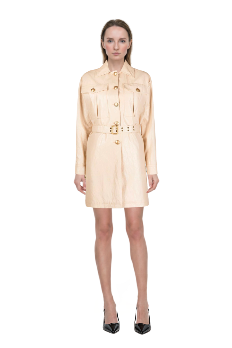 Outfit decollete slingback pointed-toe pumps and alonza dress