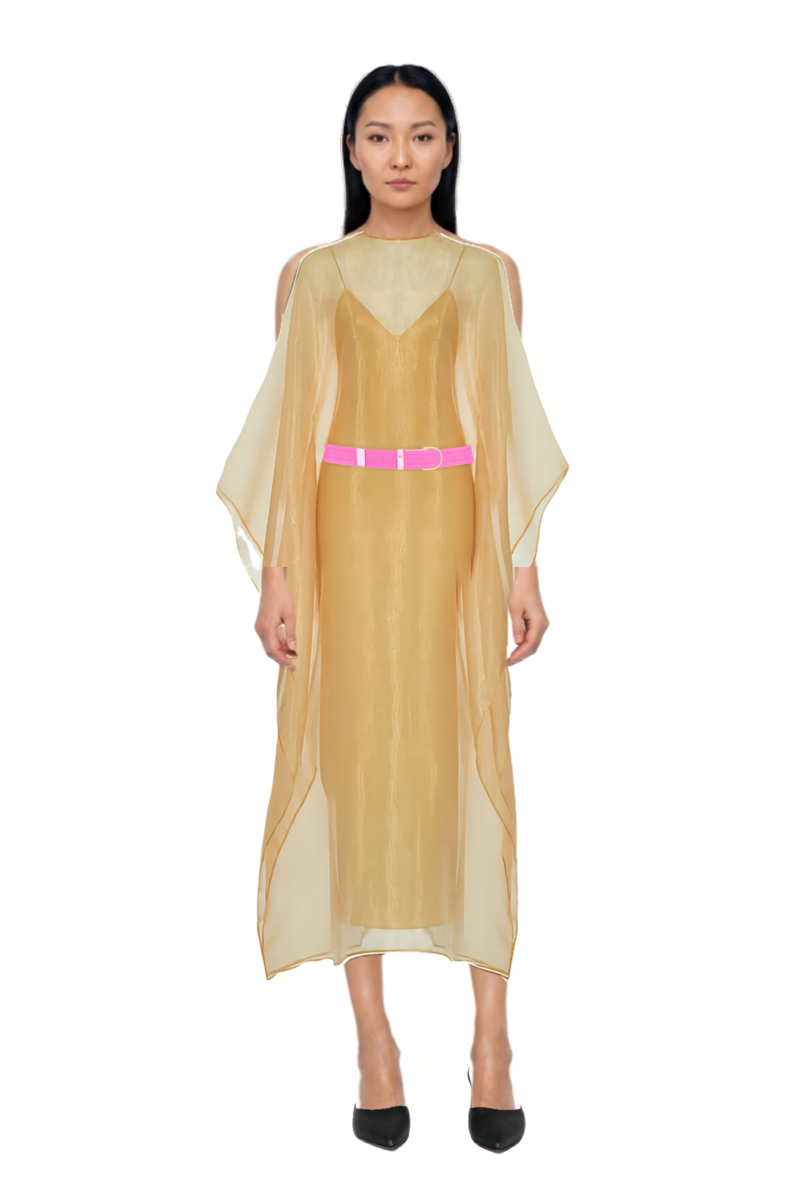 Outfit sphinx dress and le cœur pointed-toe mules