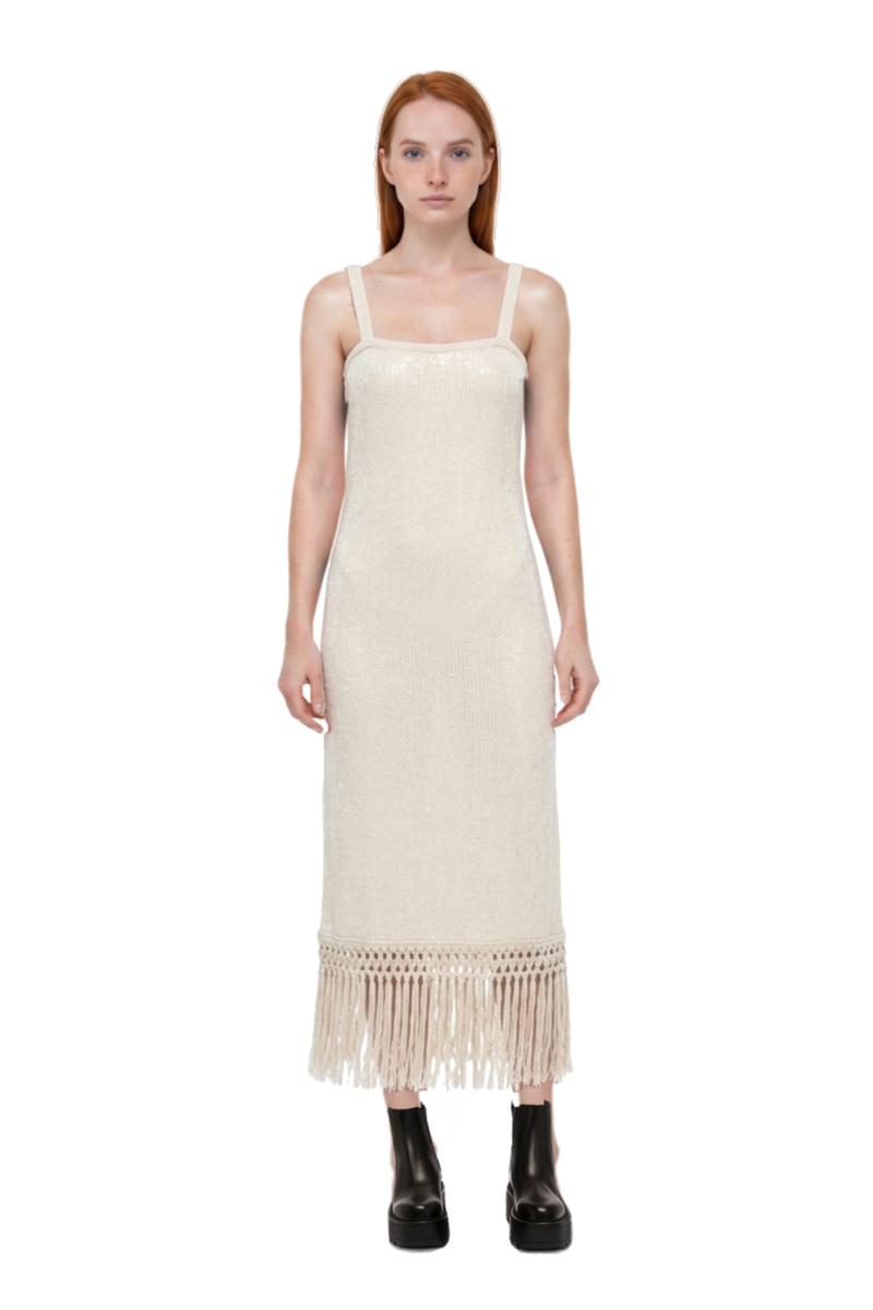 Outfit agrigento disco sequin fringed midi dress and 23 ankle boots
