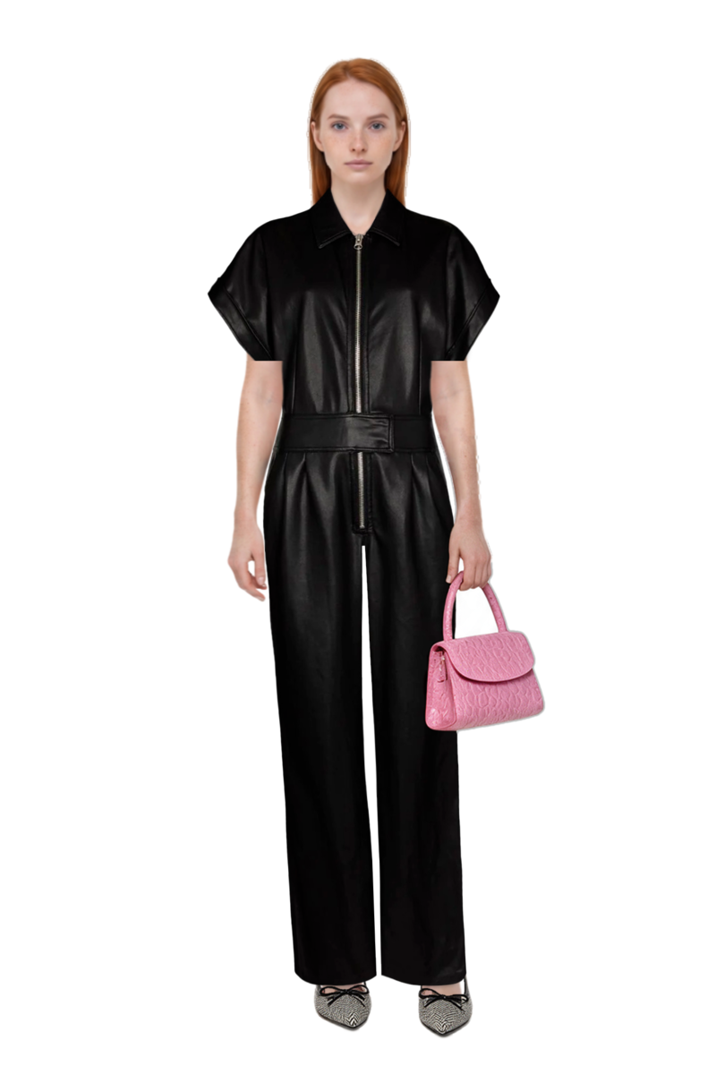 Outfit scarlett 50 pumps and 23 jumpsuit